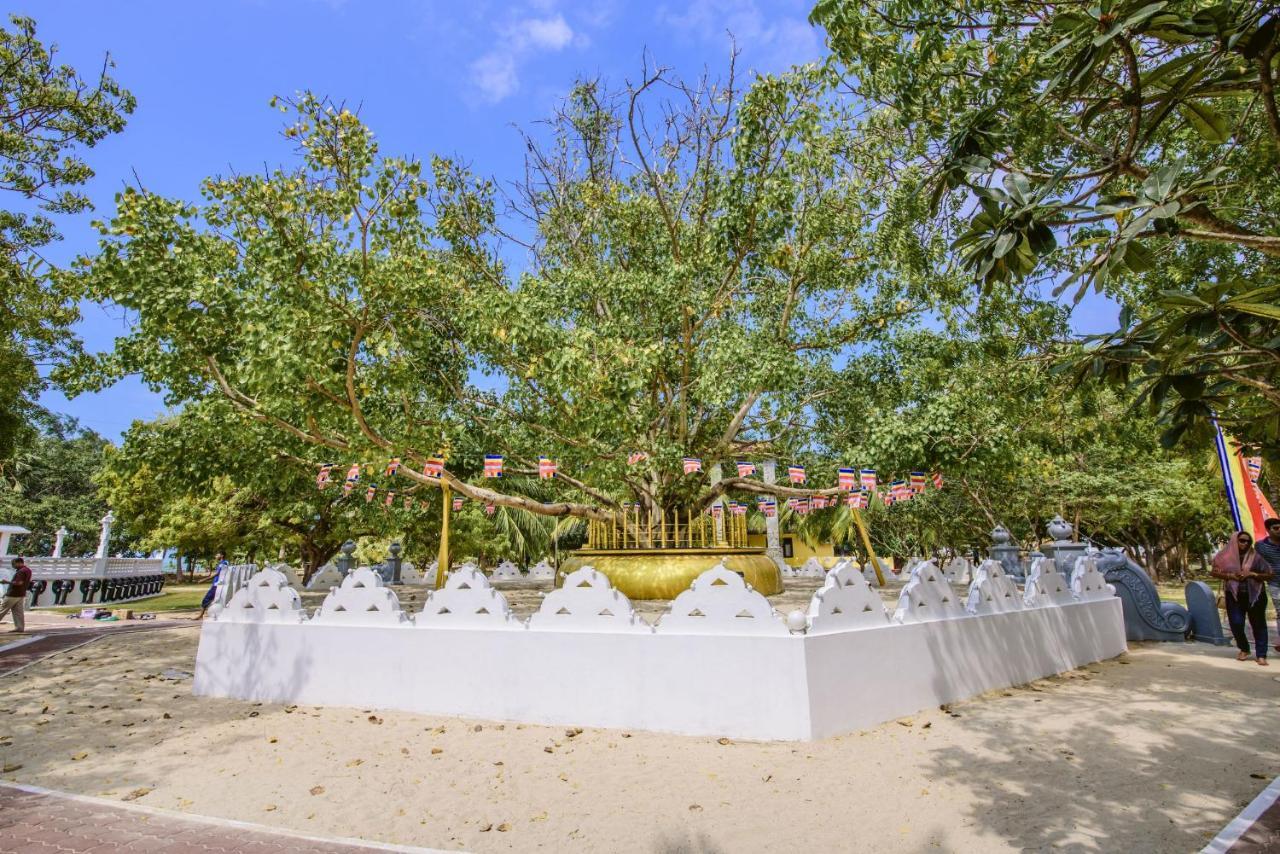 Thambu Illam Hotel Jaffna Exterior foto
